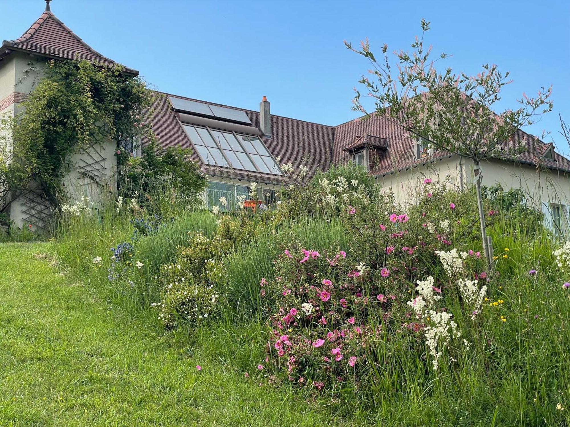 La Maison Du Parc Saint-Raphael  Экстерьер фото